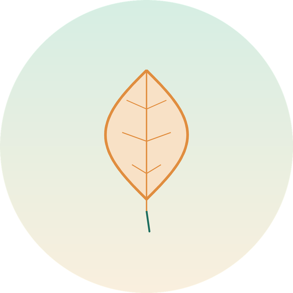 SenioruAprupe.lv logo